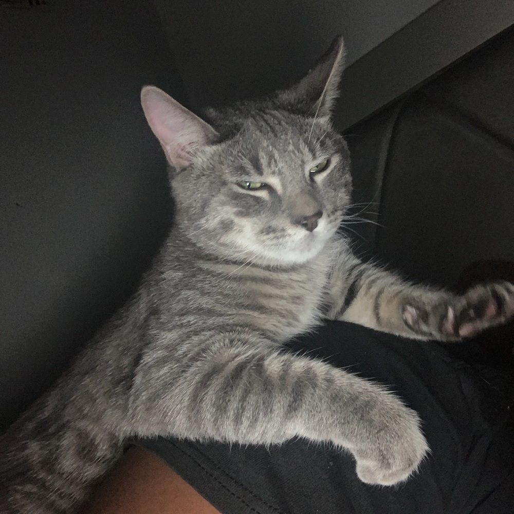 Meet your Posher, Vernna